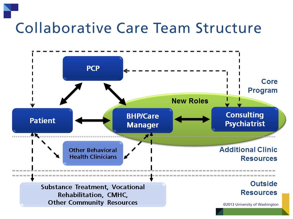 Collaborative Care Team Members